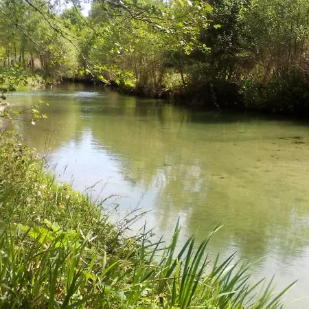 Apartamento Casa Do Chico