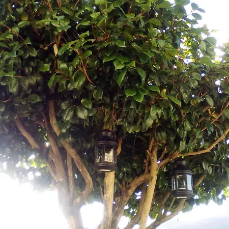 Casa Do Chico Apartamento