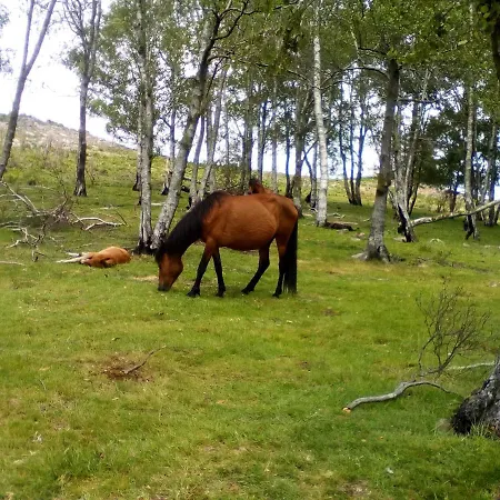 Апартаменты Casa Do Chico