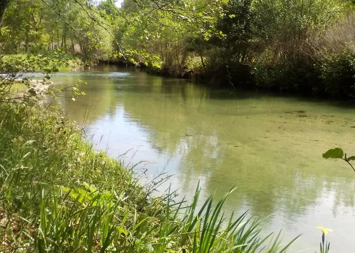 Апартаменты Casa Do Chico