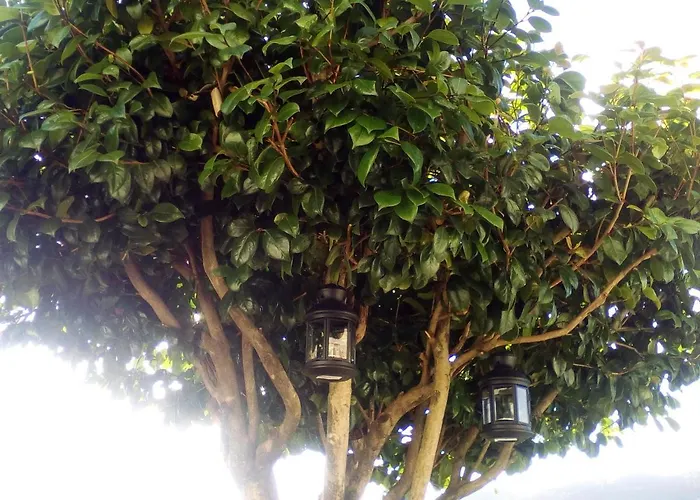 Casa Do Chico Apartment